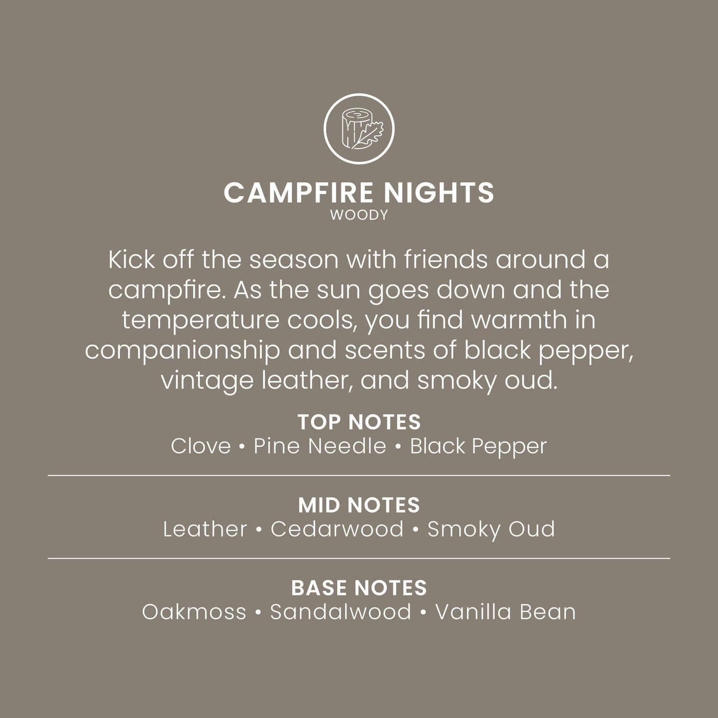 Campfire Nights