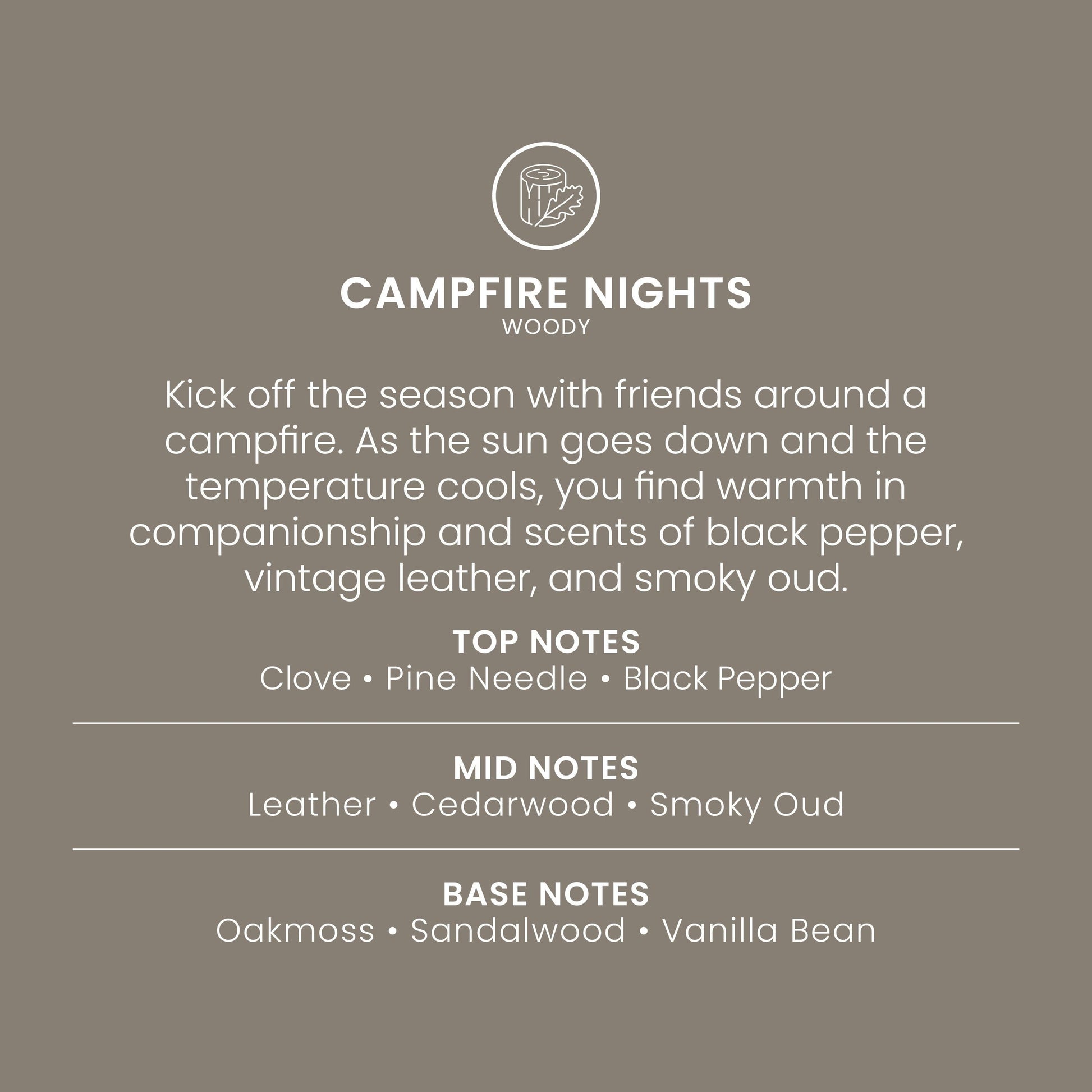 Campfire Nights